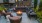 A fire pit with a sofa